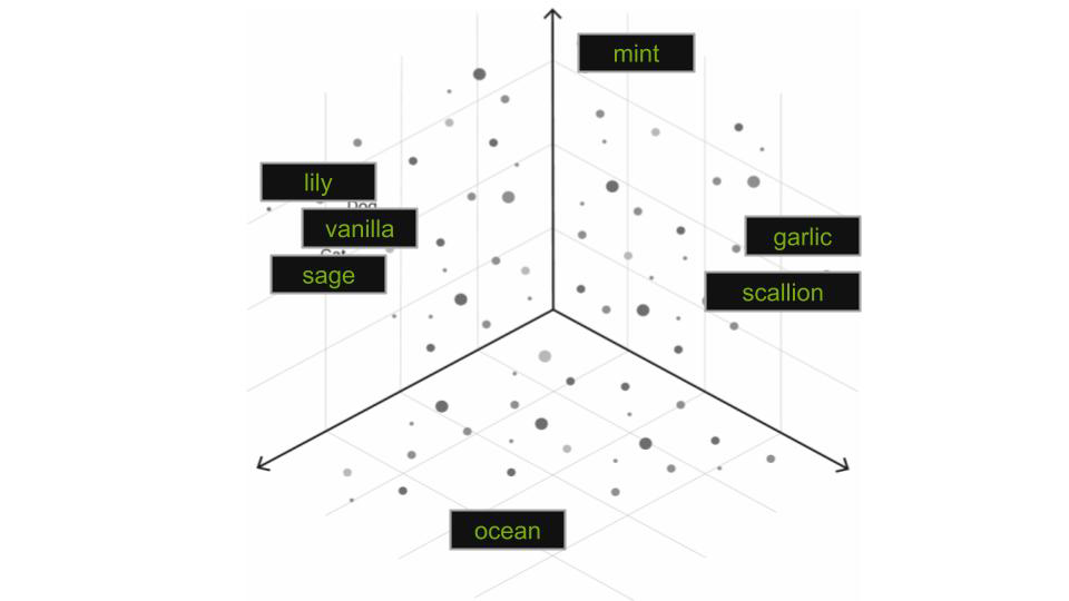 Embedding space visualization